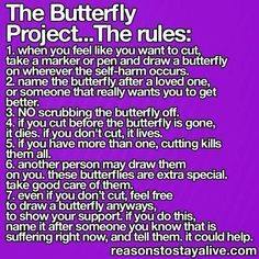 The Butterfly Project